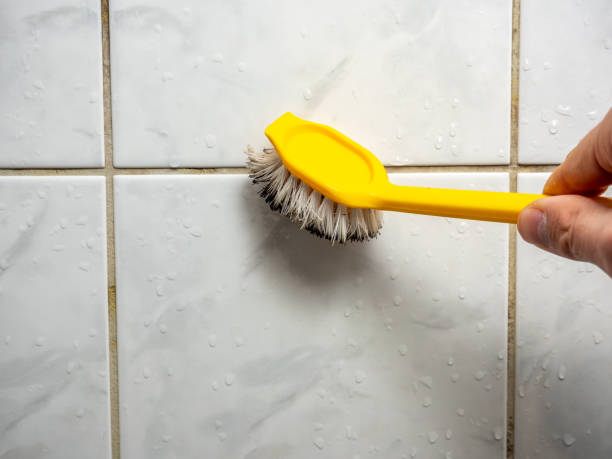 Best Mold Removal Near Me  in Paulding, OH